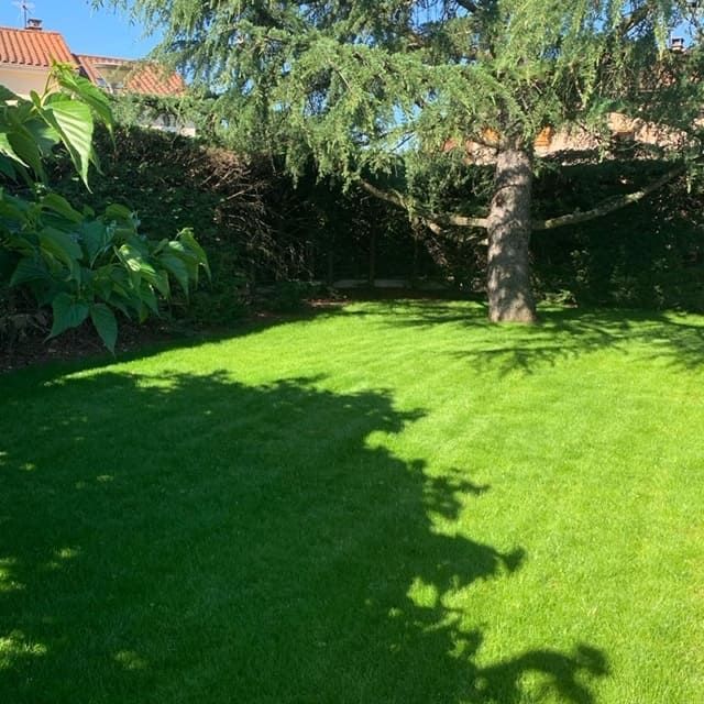 Arrosage automatique de pelouse